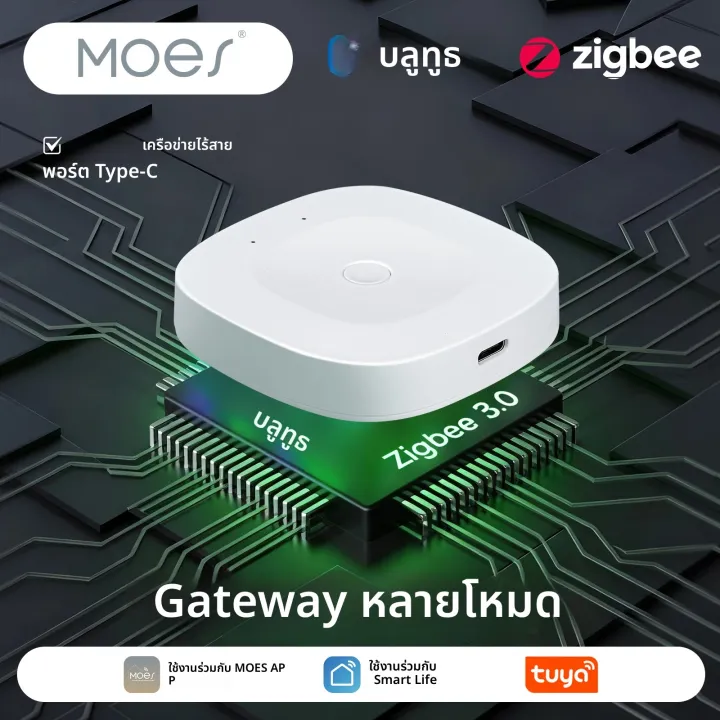 MOES Type-C Multi-Mode Gateway (MHUB-C-MS)